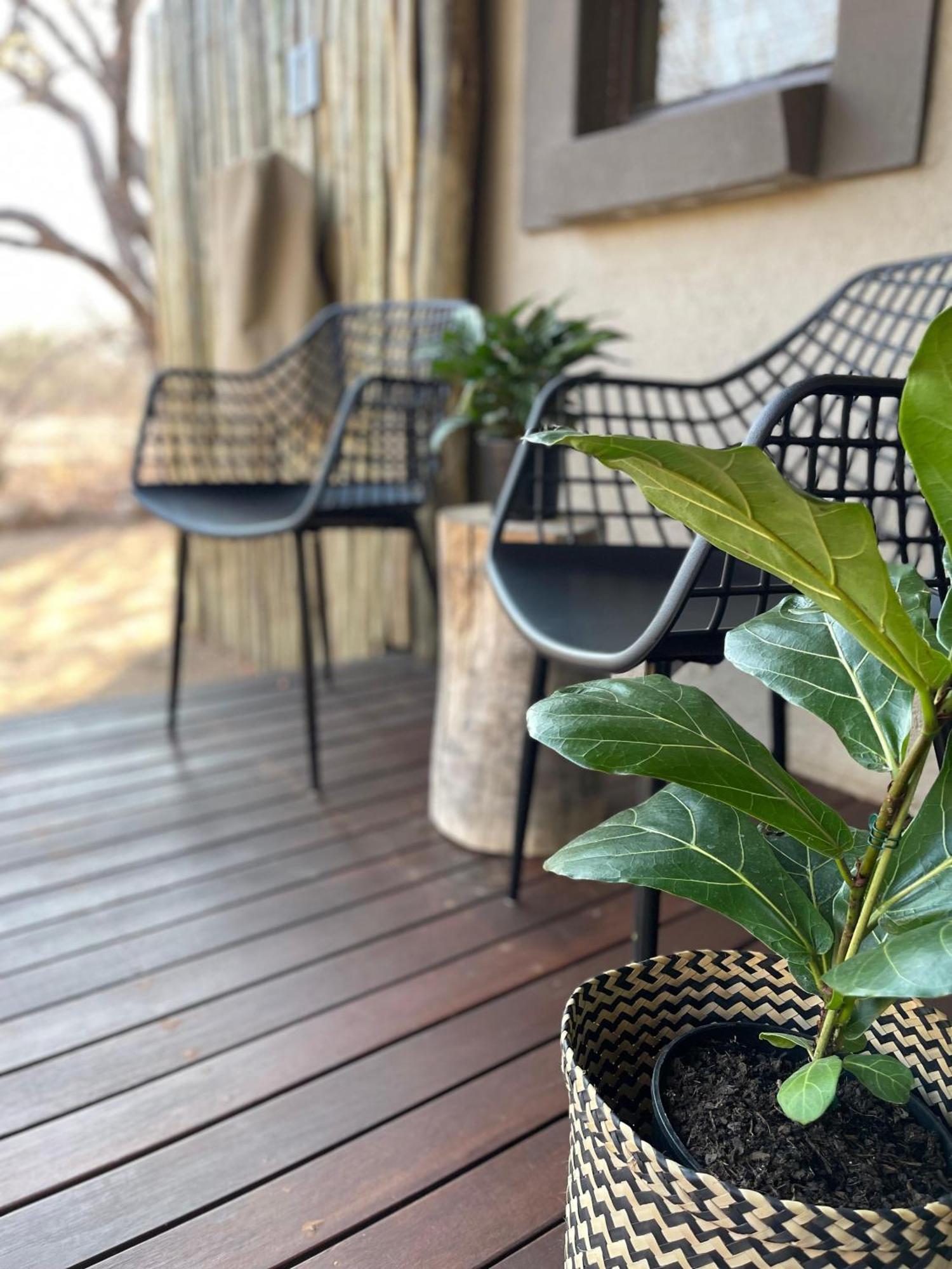 The Baobab Bush Lodge And Villa โฮดสปรูท ภายนอก รูปภาพ