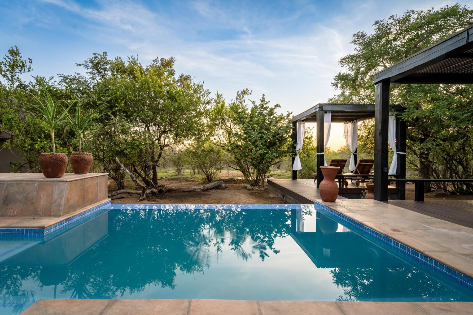 The Baobab Bush Lodge And Villa โฮดสปรูท ภายนอก รูปภาพ