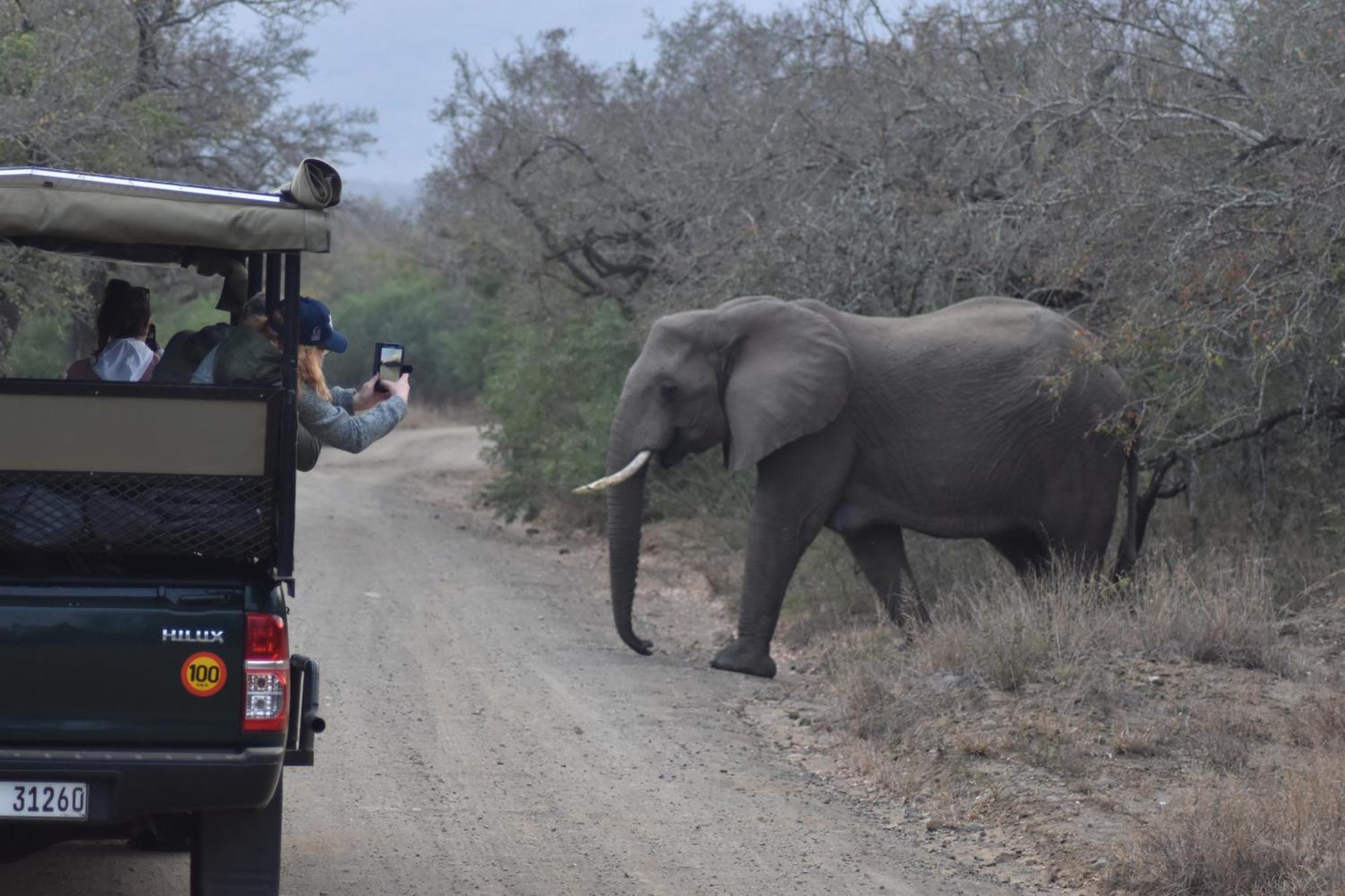 The Baobab Bush Lodge And Villa โฮดสปรูท ภายนอก รูปภาพ