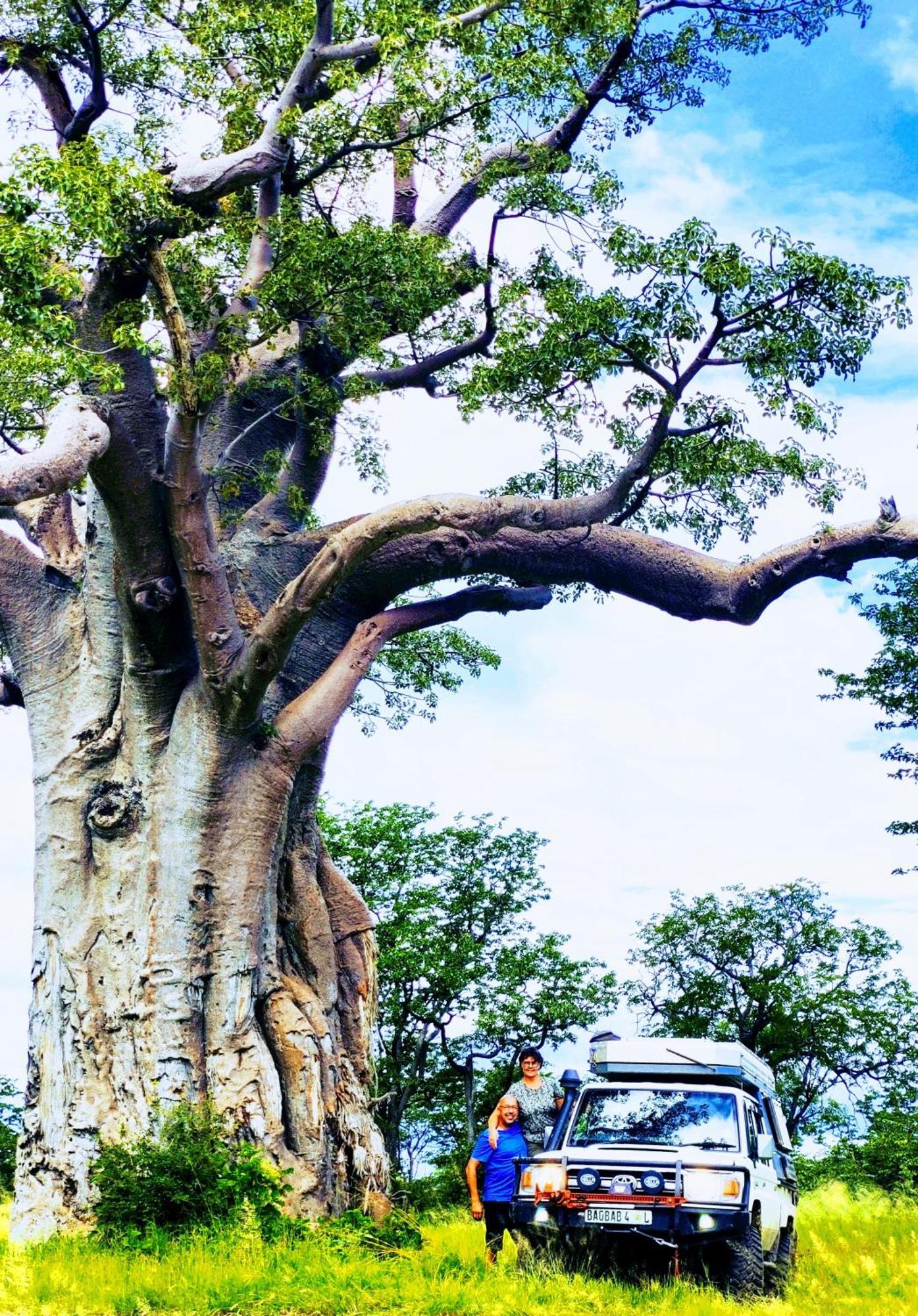 The Baobab Bush Lodge And Villa โฮดสปรูท ภายนอก รูปภาพ