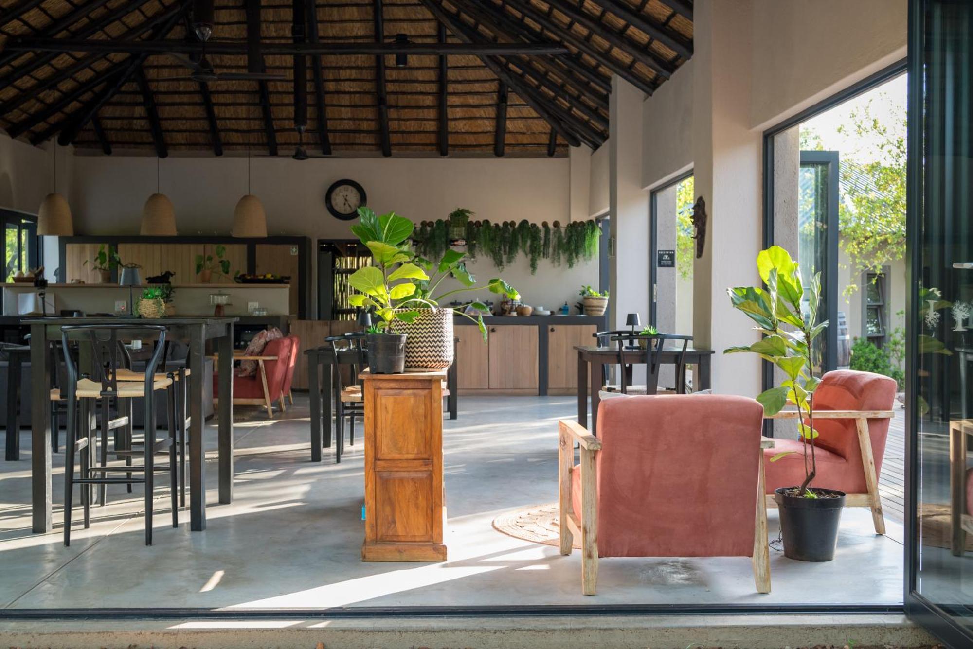 The Baobab Bush Lodge And Villa โฮดสปรูท ภายนอก รูปภาพ